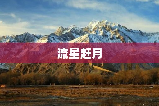 流星赶月:追逐梦想的人生之旅