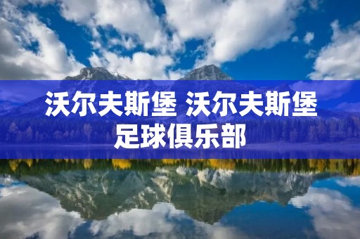 沃尔夫斯堡 沃尔夫斯堡足球俱乐部