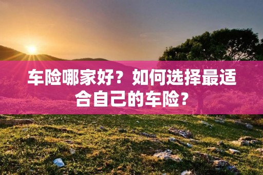车险哪家好?如何选择最适合自己的车险? 车险哪家好?如何选择最适合自己的车险?