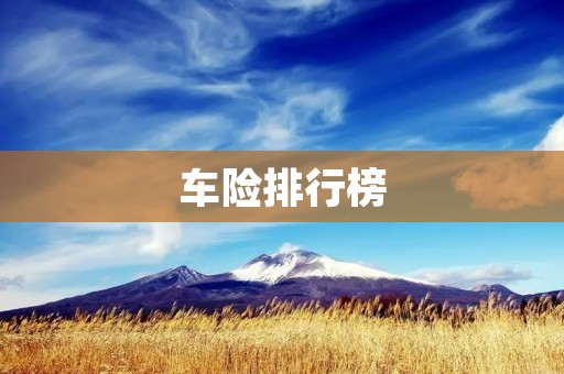 车险排行榜：哪家车险最值得购买？