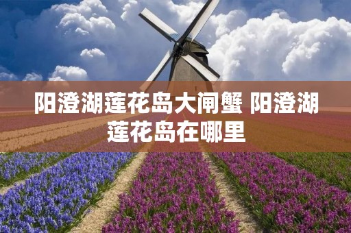 阳澄湖莲花岛大闸蟹 阳澄湖莲花岛在哪里