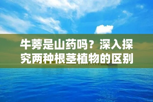 牛蒡是山药吗?深入探究两种根茎植物的区别