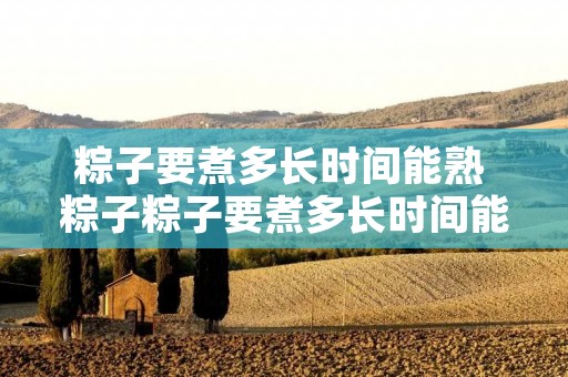 粽子要煮多长时间能熟 粽子粽子要煮多长时间能熟