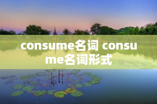 consume名词 consume名词形式