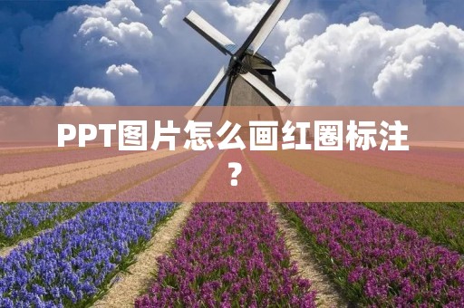 PPT图片怎么画红圈标注?