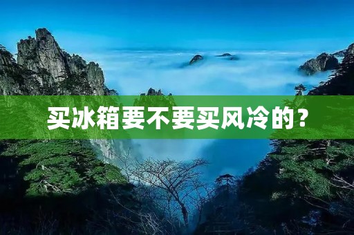 买冰箱要不要买风冷的? 买冰箱要不要买风冷的?