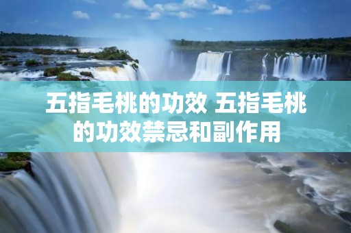 五指毛桃的功效 五指毛桃的功效禁忌和副作用 五指毛桃的功效 五指毛桃的功效禁忌和副作用