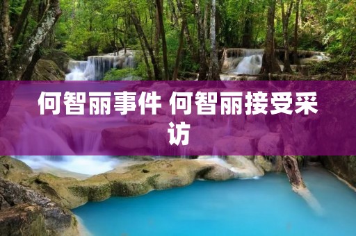 何智丽事件 何智丽接受采访