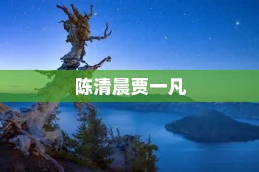 陈清晨贾一凡:音乐界的“金童玉女” 陈清晨贾一凡:音乐界的“金童玉女”