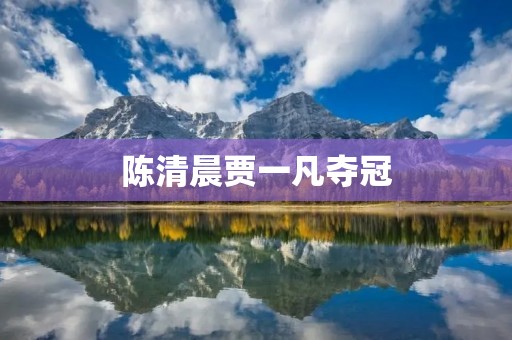 陈清晨贾一凡夺冠：中国羽毛球混双新王者的诞生