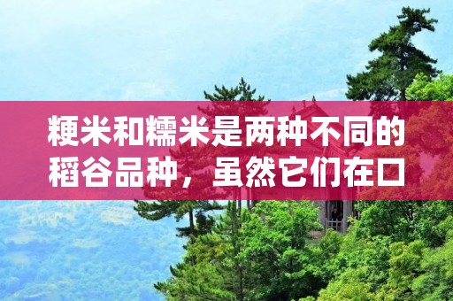 粳米和糯米是两种不同的稻谷品种,虽然它们在口感和用途上有一些相似之处,但它们之间还是有一些显著的区别。在这篇文章中,我们将会详细探讨粳米和糯米的区别,以及它们各自的特点和用途。