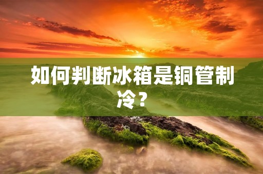 如何判断冰箱是铜管制冷? 如何判断冰箱是铜管制冷?