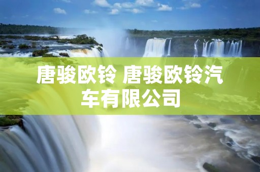 唐骏欧铃 唐骏欧铃汽车有限公司