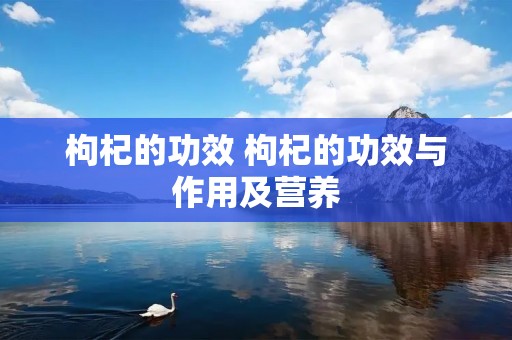 枸杞的功效 枸杞的功效与作用及营养 枸杞的功效 枸杞的功效与作用及营养