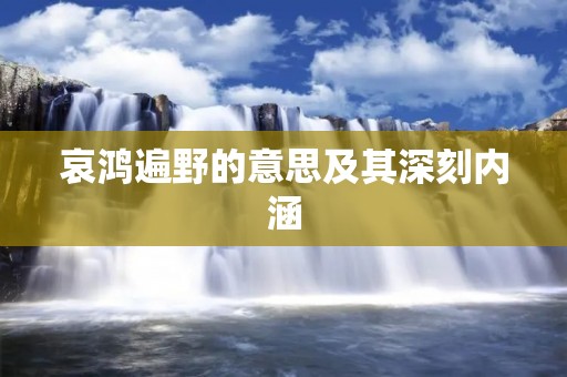 哀鸿遍野的意思及其深刻内涵