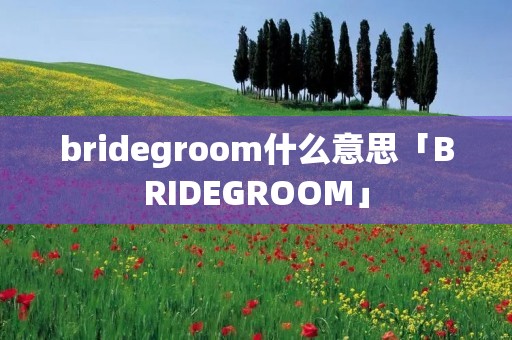 bridegroom什么意思「BRIDEGROOM」