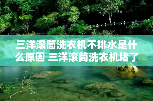 三洋滚筒洗衣机不排水是什么原因 三洋滚筒洗衣机堵了不能排水怎么办 三洋滚筒洗衣机不排水是什么原因 三洋滚筒洗衣机堵了不能排水怎么办