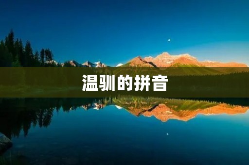 温驯的拼音：如何正确发音？