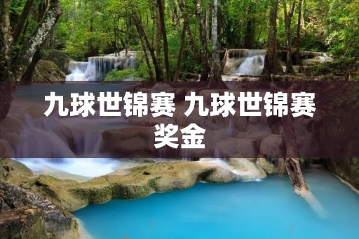 九球世锦赛 九球世锦赛奖金