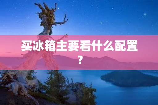买冰箱主要看什么配置? 买冰箱主要看什么配置?