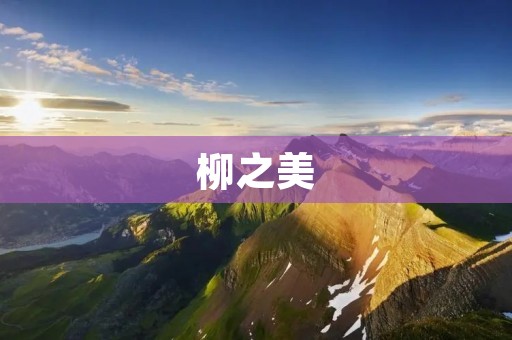 柳之美:探寻柳树的种类、特点及文化内涵