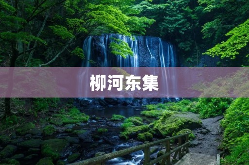柳河东集:一部反映时代变迁的文化典藏