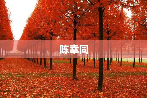陈幸同：一位勇敢的同志先驱