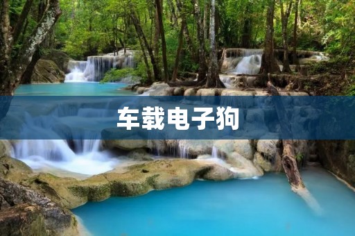 车载电子狗：让驾驶更安全