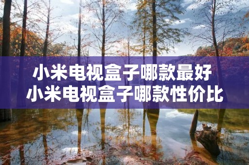 小米电视盒子哪款最好 小米电视盒子哪款性价比高 小米电视盒子哪款最好 小米电视盒子哪款性价比高