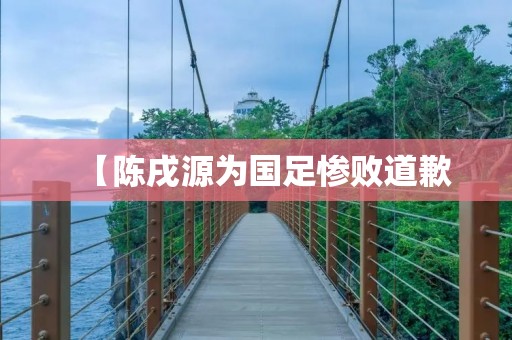 【陈戌源为国足惨败道歉：一次不可忽视的责任担当】