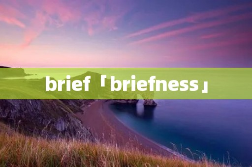 brief「briefness」