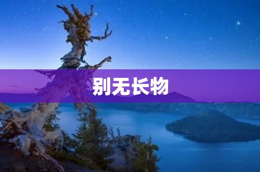别无长物：探讨现代人的物欲与生活意义