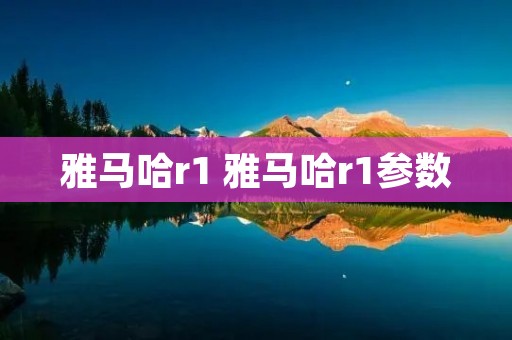 雅马哈r1 雅马哈r1参数 雅马哈r1 雅马哈r1参数
