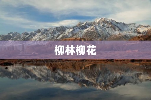 柳林柳花:春日间的美丽风景