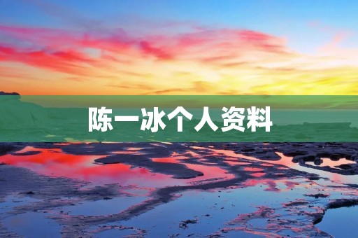 陈一冰个人资料:中国电影新生代导演的代表 陈一冰个人资料:中国电影新生代导演的代表