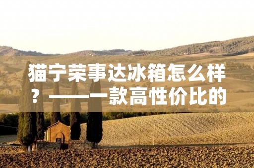 猫宁荣事达冰箱怎么样?——一款高性价比的选择 猫宁荣事达冰箱怎么样?——一款高性价比的选择