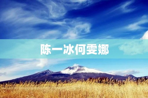陈一冰何雯娜:从“夫妻档”到“离婚档” 陈一冰何雯娜:从“夫妻档”到“离婚档”