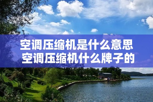 空调压缩机是什么意思 空调压缩机什么牌子的好
