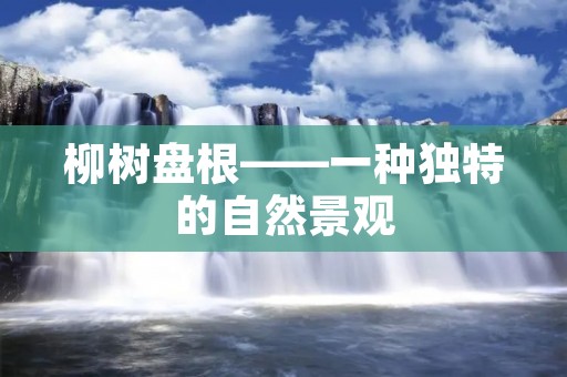 柳树盘根——一种独特的自然景观