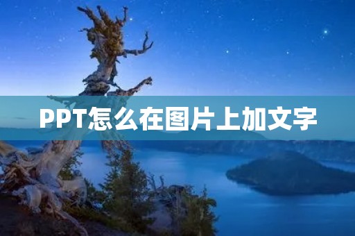 PPT怎么在图片上加文字