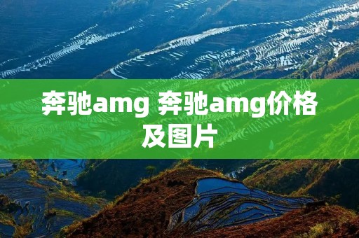 奔驰amg 奔驰amg价格及图片