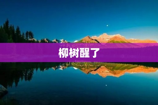 柳树醒了:春天的到来