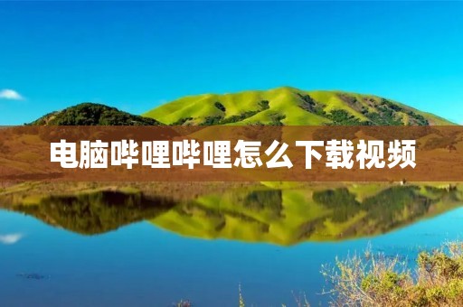 电脑哔哩哔哩怎么下载视频
