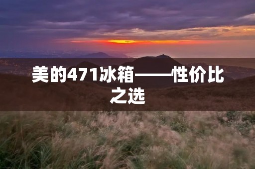 美的471冰箱——性价比之选 美的471冰箱——性价比之选