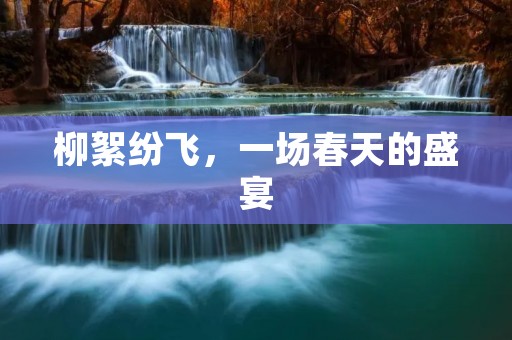 柳絮纷飞,一场春天的盛宴