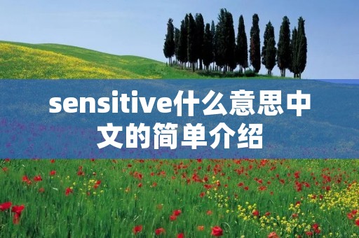sensitive什么意思中文的简单介绍 sensitive什么意思中文的简单介绍