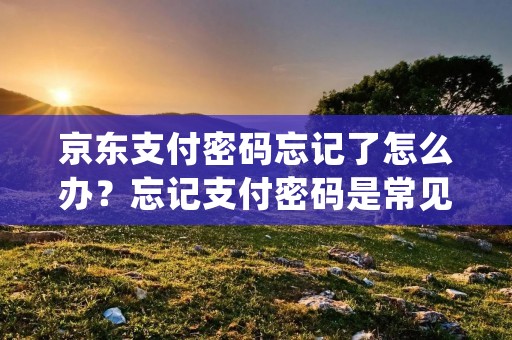 京东支付密码忘记了怎么办?忘记支付密码是常见的问题,不仅仅是京东支付,其他支付平台也会出现这种情况。当忘记京东支付密码时,不要惊慌,可以采取以下几种方法来解决问题。