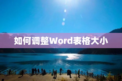 如何调整Word表格大小