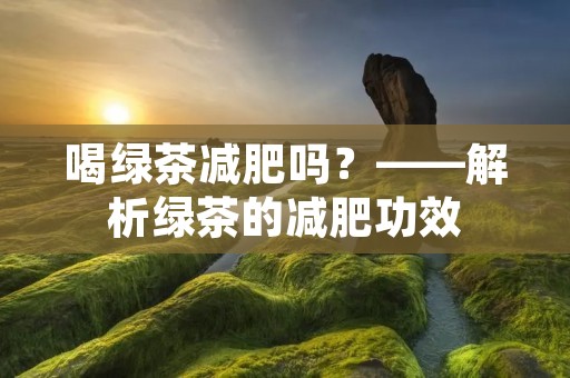 喝绿茶减肥吗?——解析绿茶的减肥功效