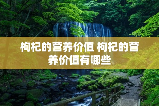 枸杞的营养价值 枸杞的营养价值有哪些